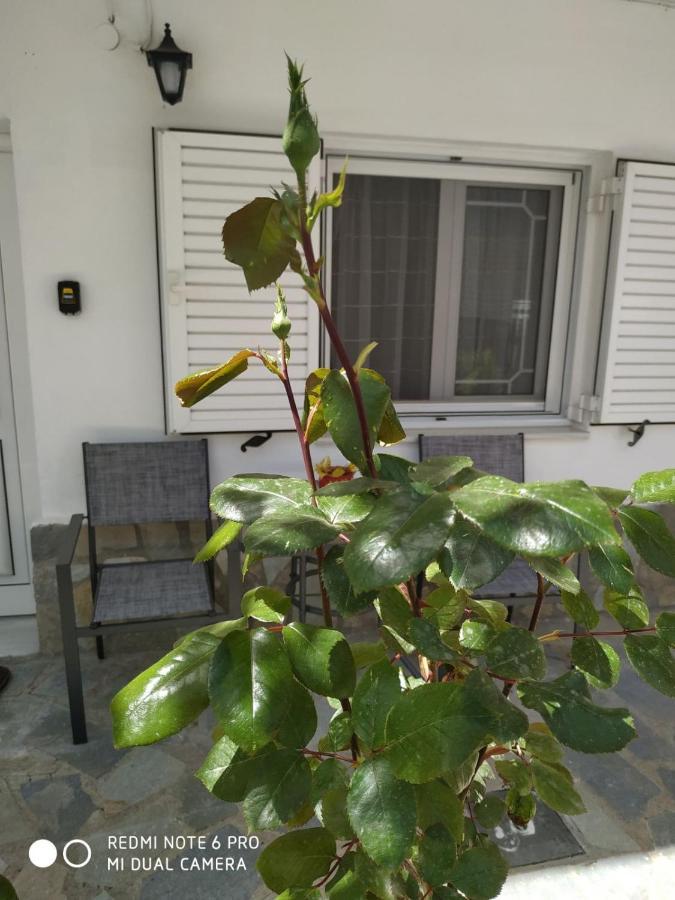 Apartamento Chrysanty'S Tea House Kalambaka Exterior foto