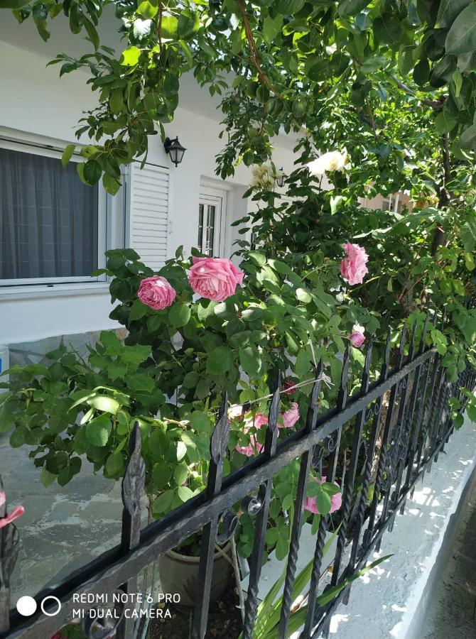 Apartamento Chrysanty'S Tea House Kalambaka Exterior foto