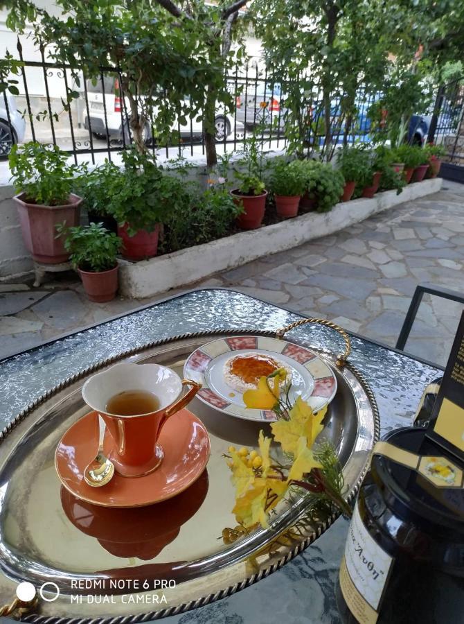Apartamento Chrysanty'S Tea House Kalambaka Exterior foto